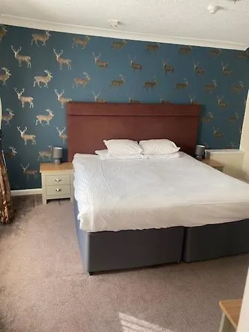 宾馆 牡鹿首领酒店